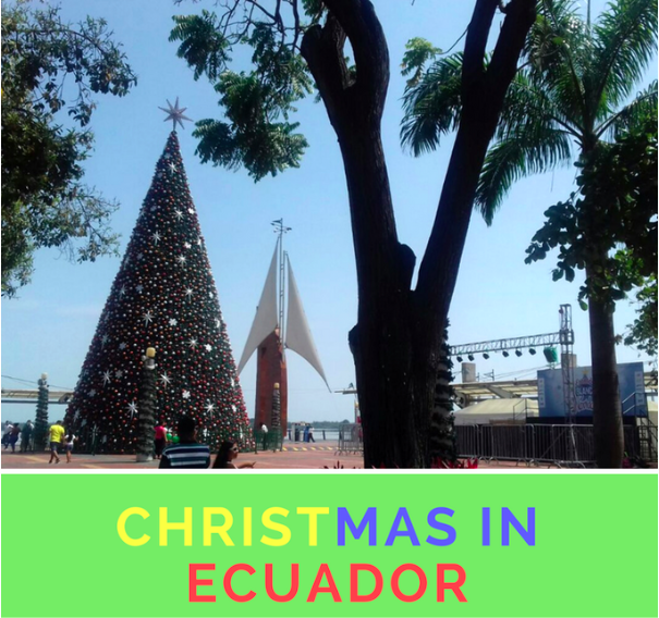 christmas in ecuador