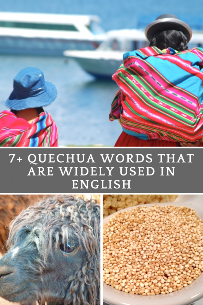 7+ Quechua Words That Are Widely Used In English