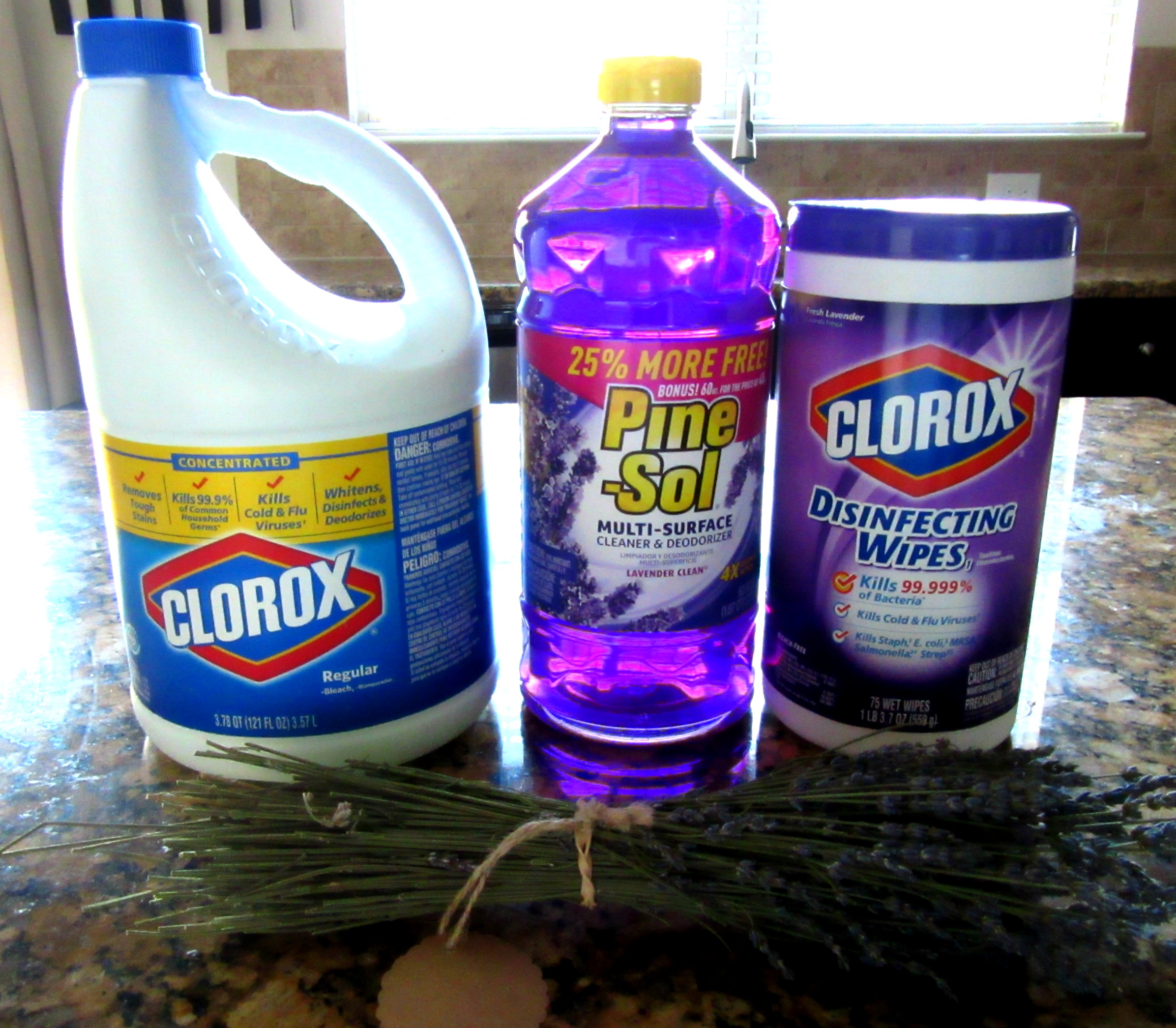 clorox1