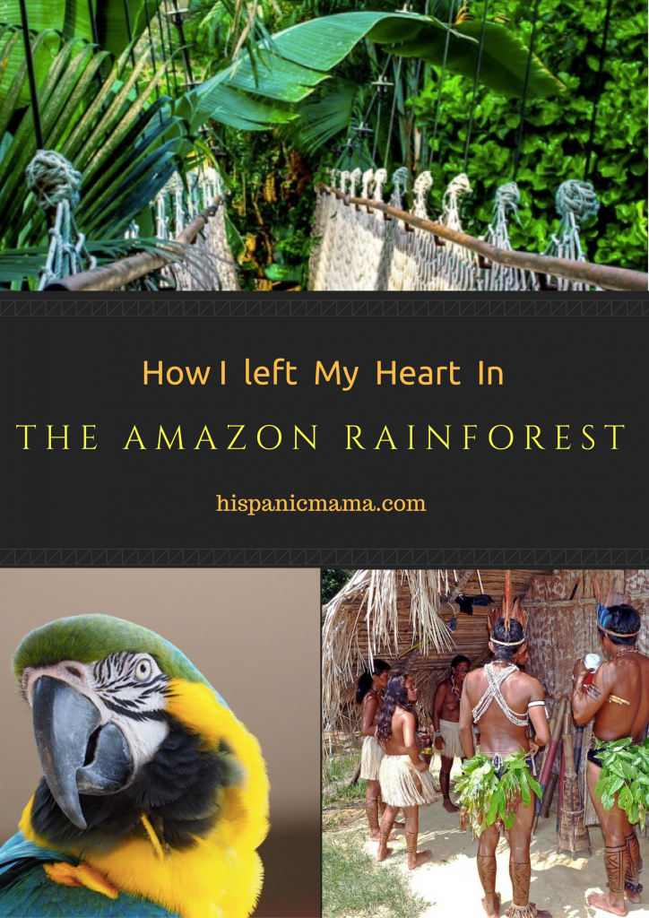 the-amazon-rainforest