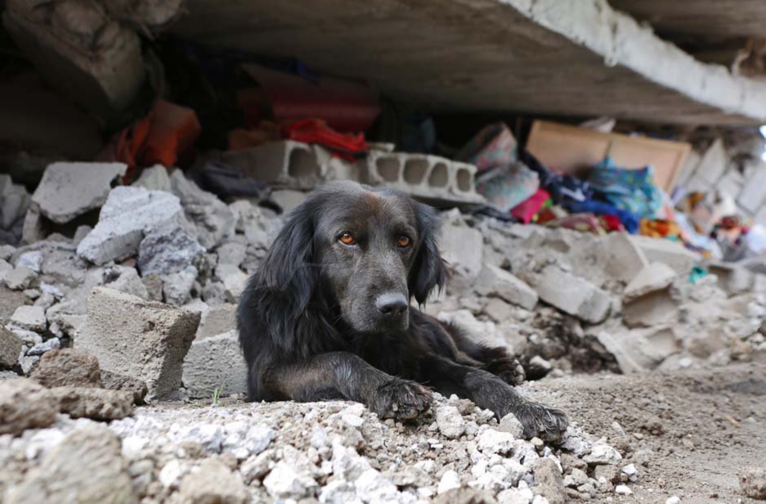 How You Can Help Ecuador Earthquake Victims
