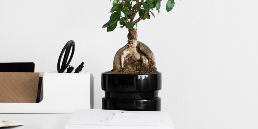 How Tragedy Is Helping Me To Become Minimalist