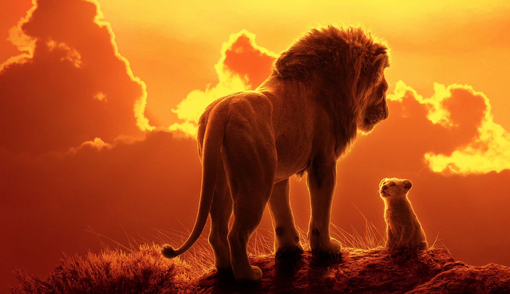6 Lion King Songs in Spanish