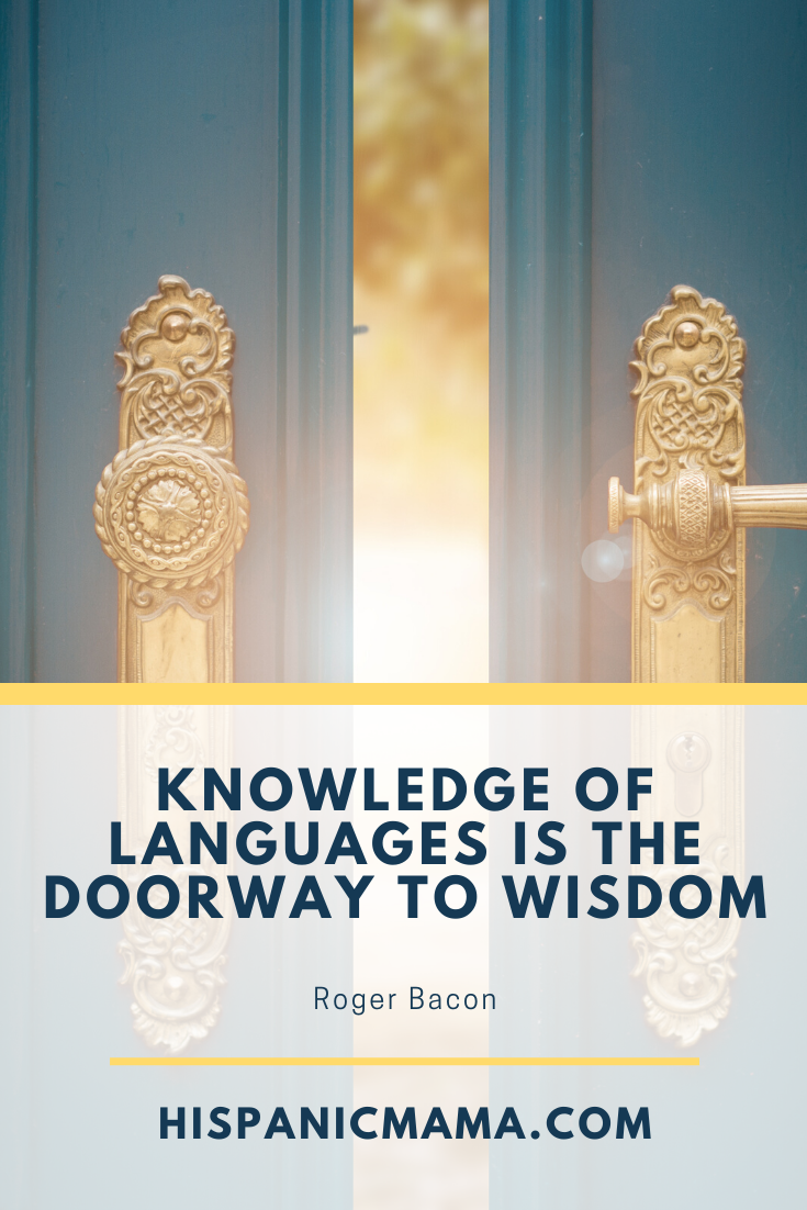 Language Bridge Quotes Inspiring Quotes About Bilingualism